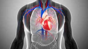 US Doctors Sound Alarm on Aortic Aneurysm: The Silent Killer Affecting Millions
OR
