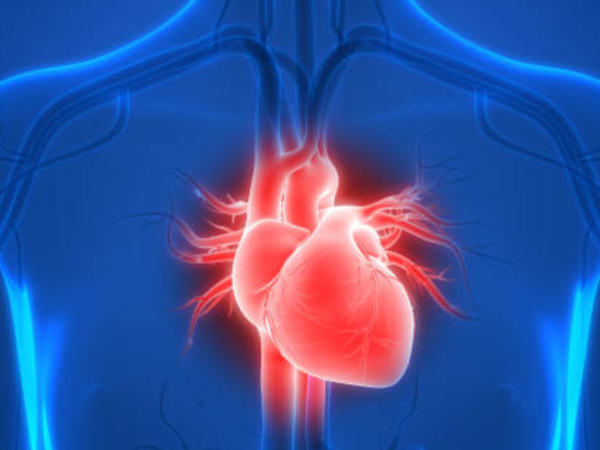 Water consumption boosts heart health